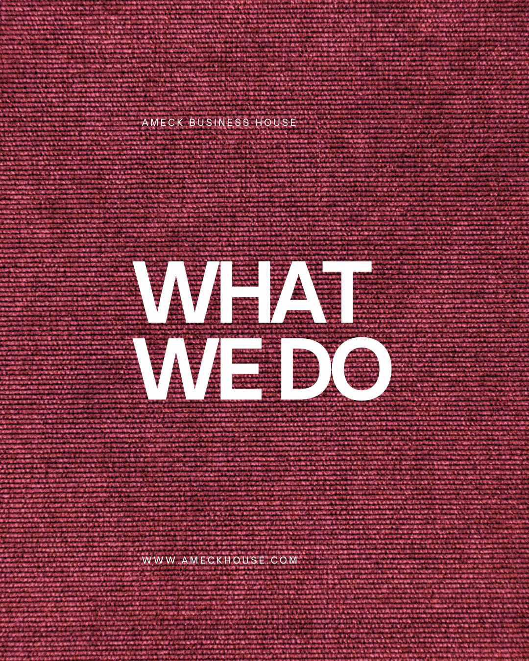 WHAT WE DO