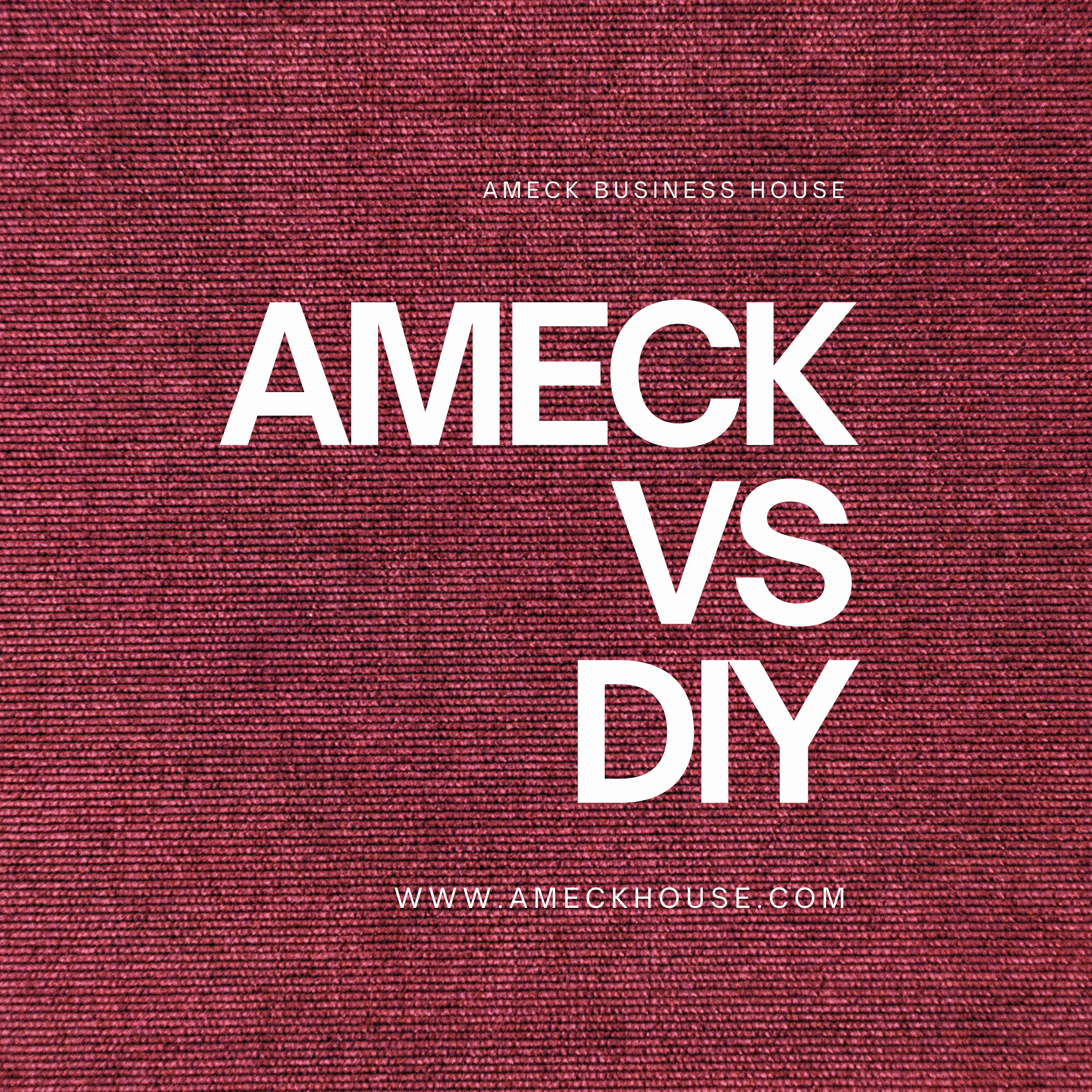 AMECK VS DIY
